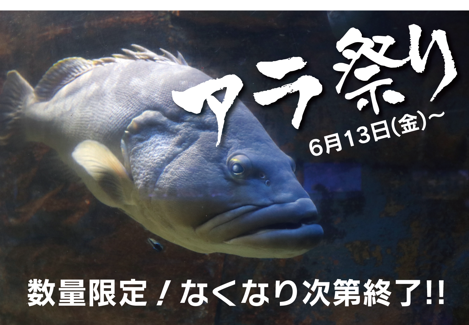 528ce595aa5ae3f727ee4532d8c686e7 528ce595aa5ae3f727ee4532d8c686e7